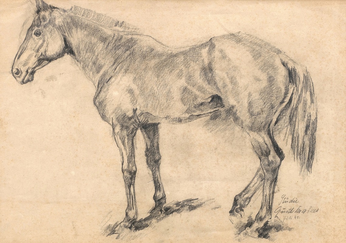 Pferdestudie by Август Кратцер, 1941 — digital art print download