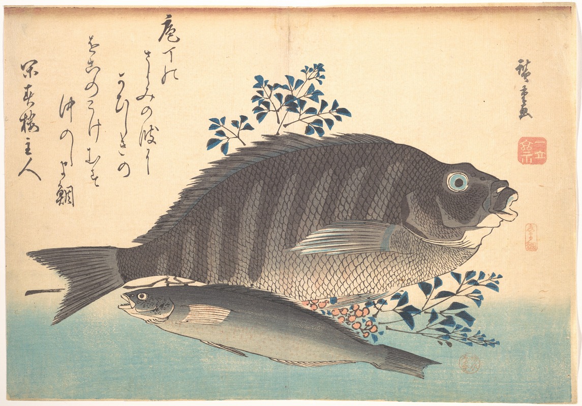 Shimadai and Ainame Fish — Utagawa Hiroshige