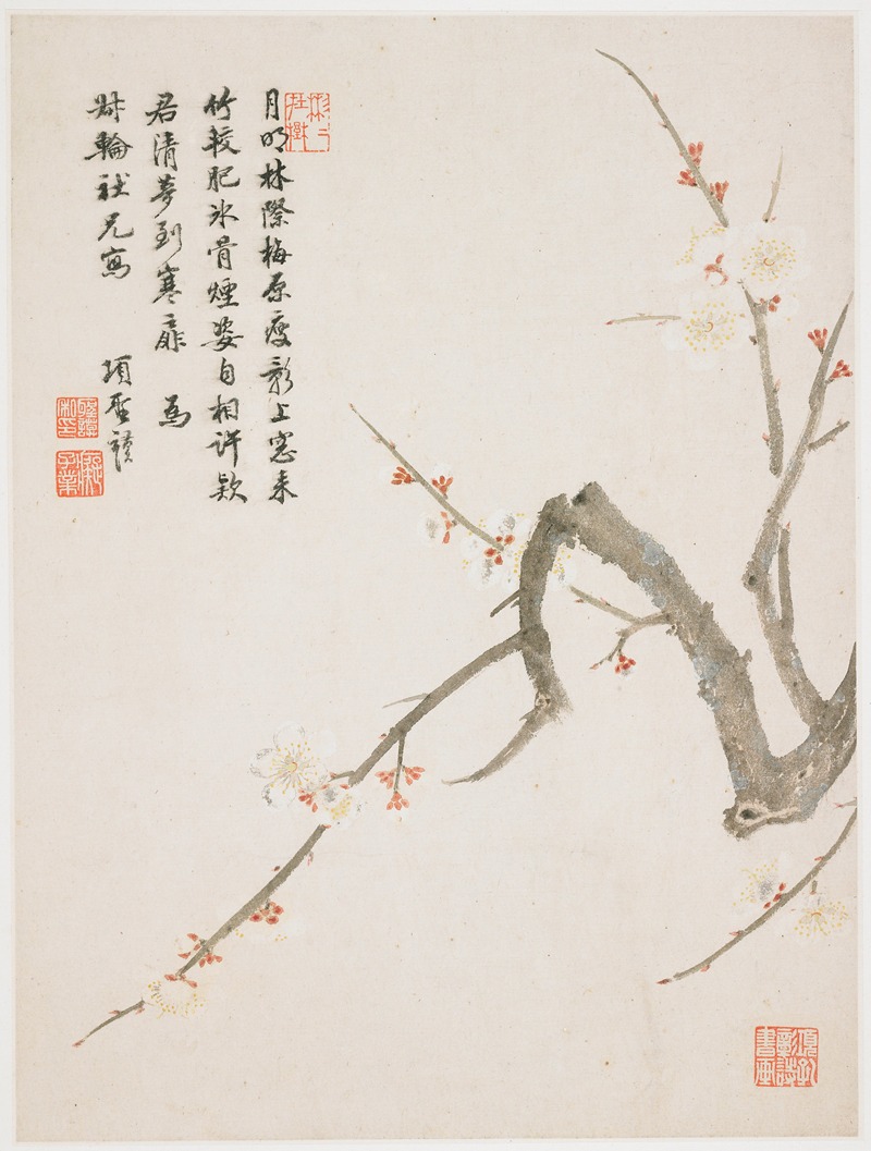 Blossoming plum by Xiang Shengmo, 1656 — digital art print download