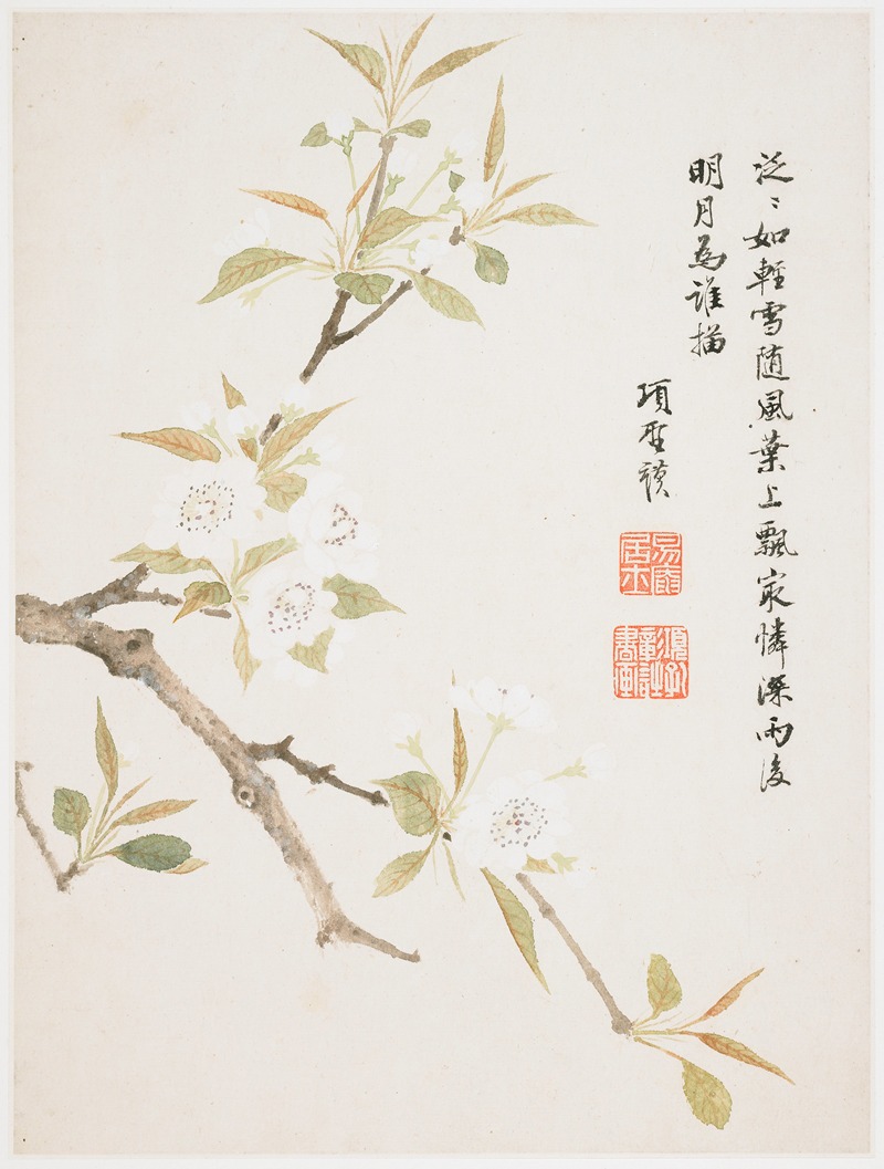 Pear Blossom by Xiang Shengmo, 1656 — digital art print download