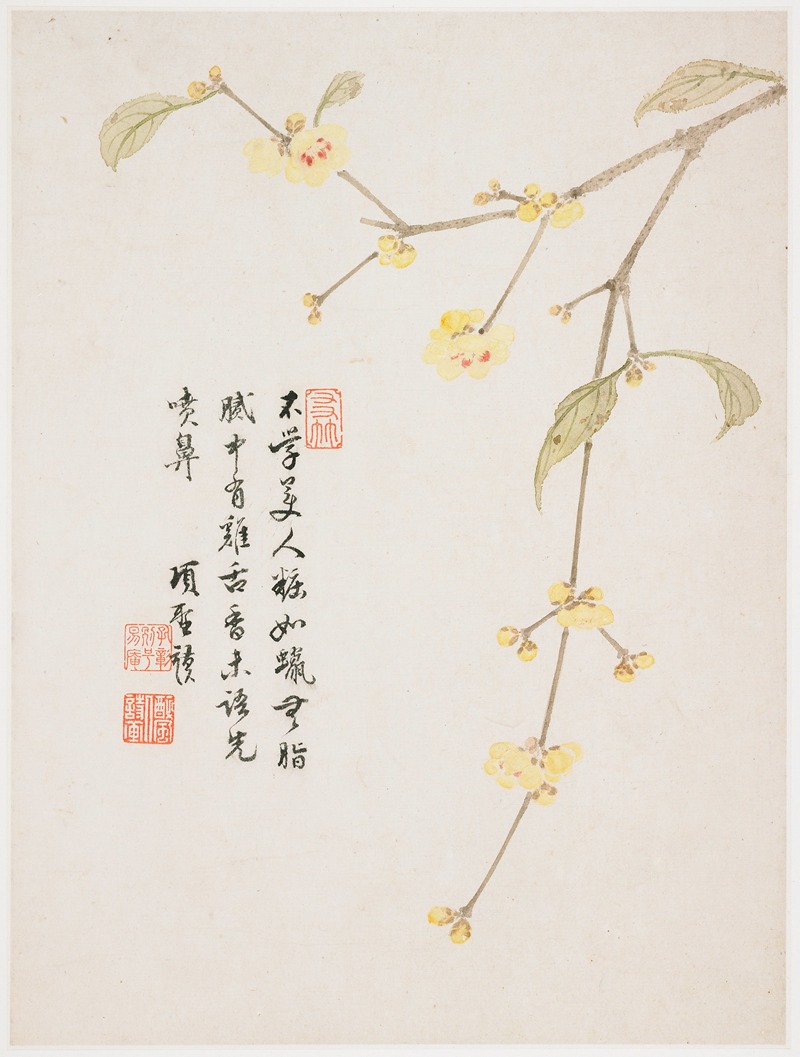 Wintersweet Blossom by Xiang Shengmo, 1656 — digital art print download