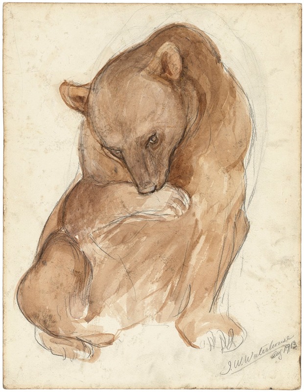 A sketch of a bear — Джон Уильям Уотерхаус