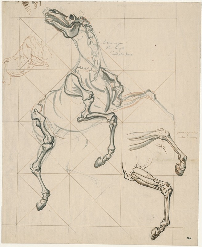 Anatomische studies v.e. steigerend paard: met tekst by Дэвид Хамбер де Сюпервиль — digital art print download