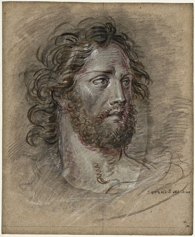 Head of a man with a beard — Дэвид Хамбер де Сюпервиль