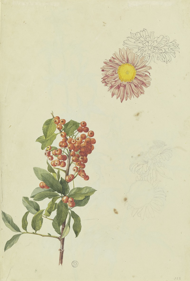 Firethorn and Chrysanthemum by Франц Теобальд Хорни, 1817 — digital art print download