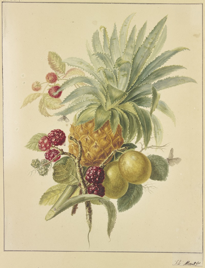 Eine Ananas, Pflaumen und Himbeeren by Ян Эверт Морель — digital art print download
