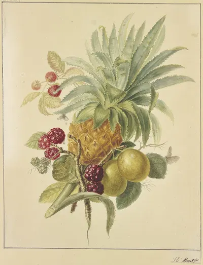Eine Ananas, Pflaumen und Himbeeren by Ян Эверт Морель — digital art print download