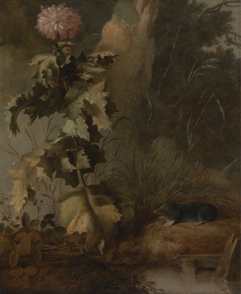An Egyptian Poppy and a Water Mole — John Crome