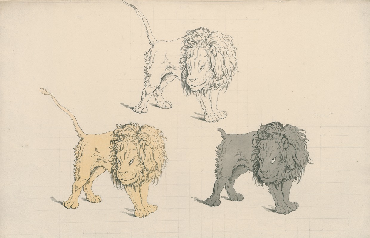 Standing lion in a threatening pose, three times repeated in different colours — David Humbert de Superville