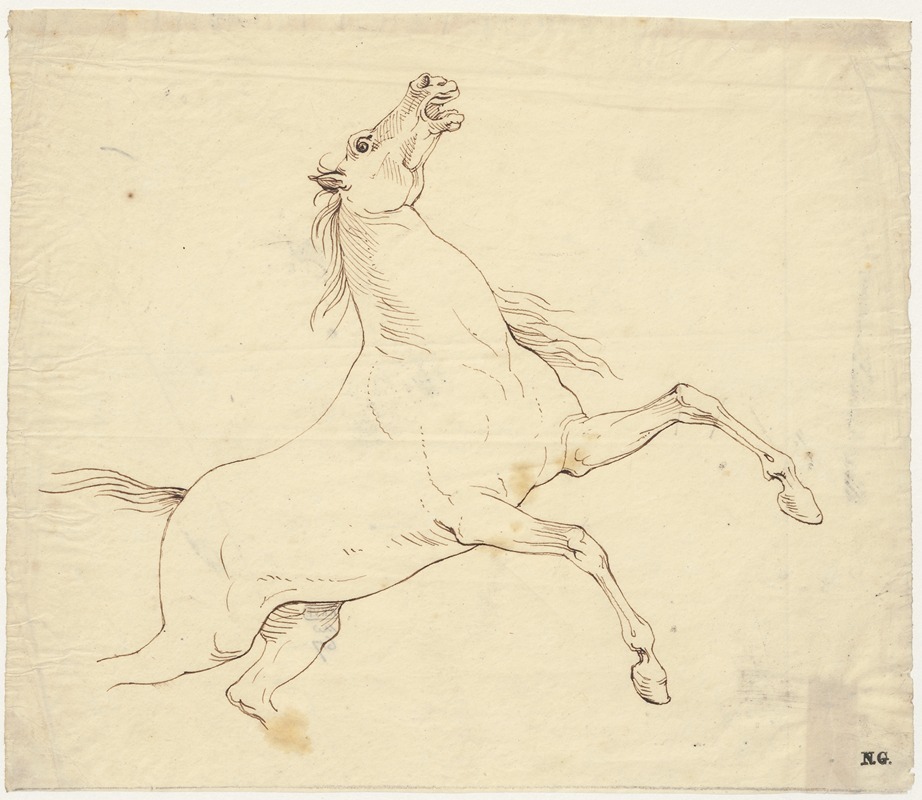 Steigerend paard by Дэвид Хамбер де Сюпервиль — digital art print download