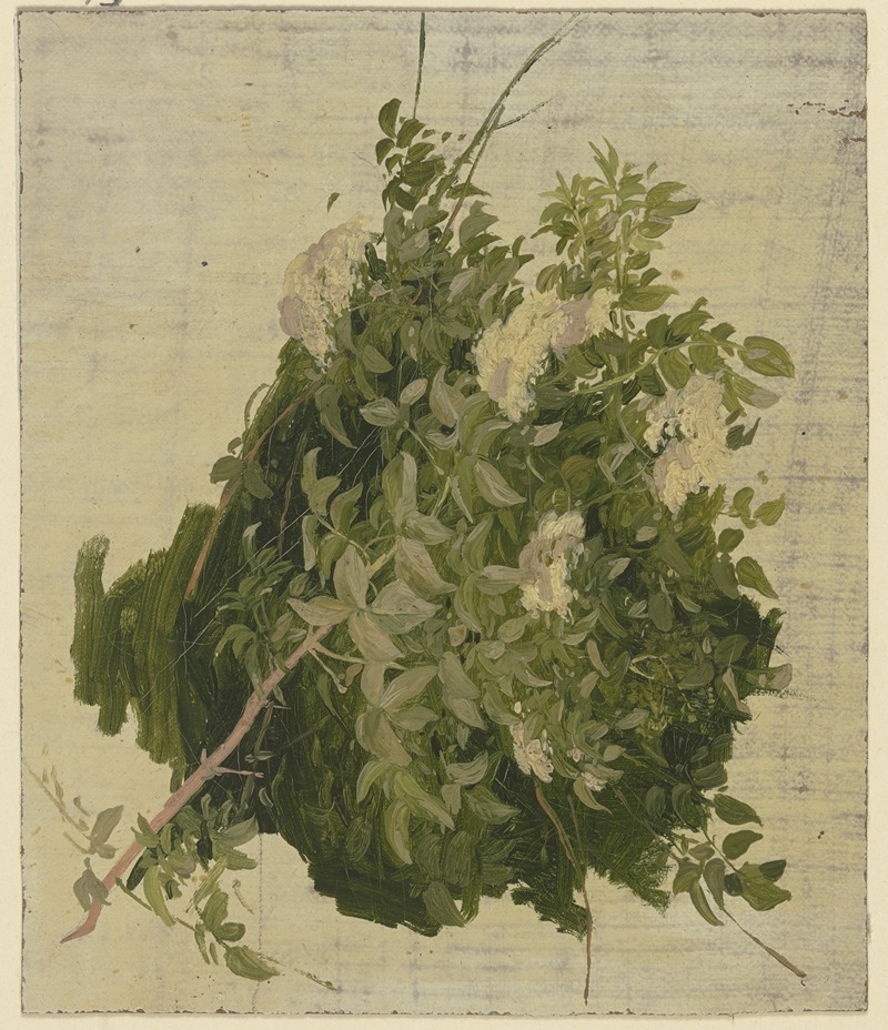 Bush with white blossoms by Филипп Румпф — digital art print download