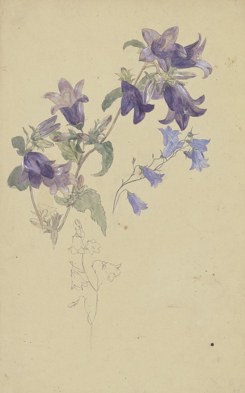 Bluebells by Вильгельм Штайнхаузен — digital art print download