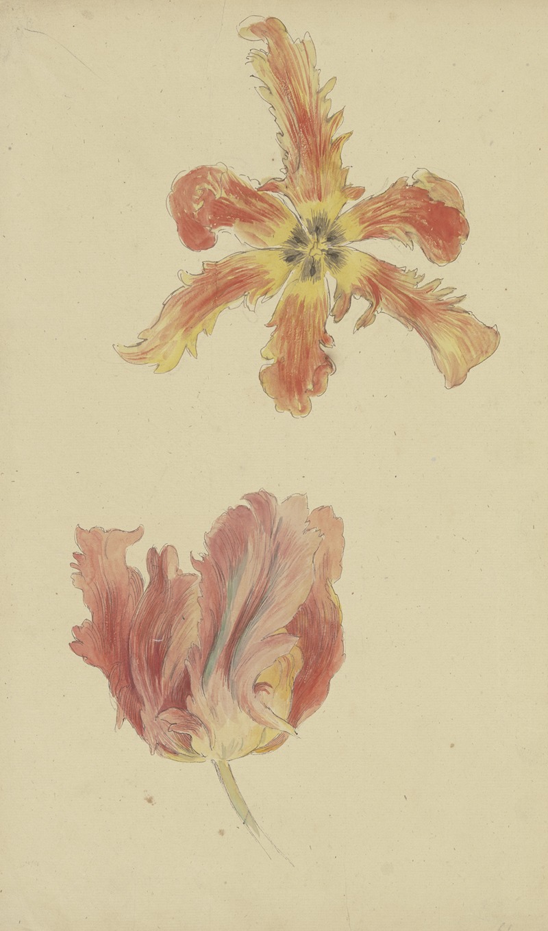 Parrot tulips by Вильгельм Штайнхаузен — digital art print download
