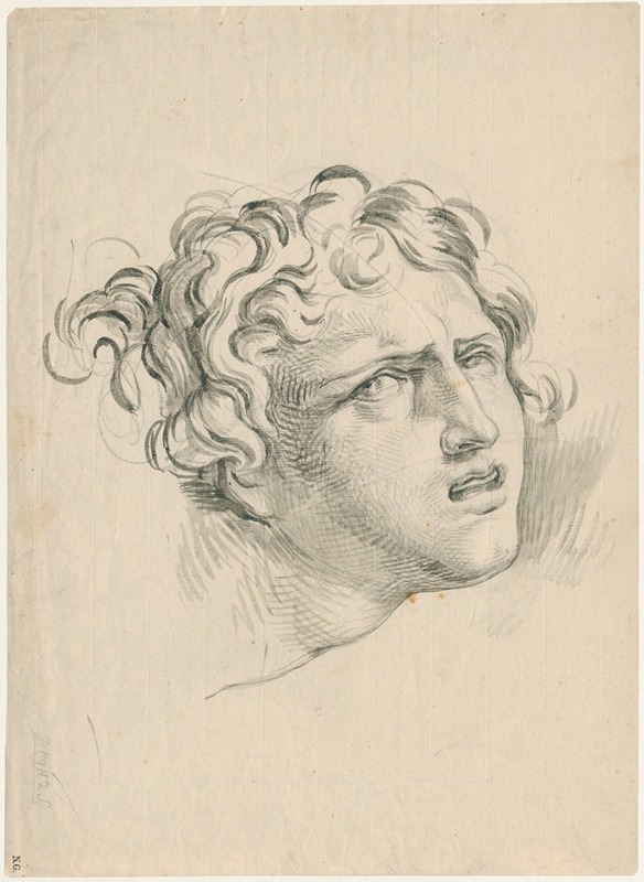 Vrouwenkop met dramatische — David Humbert de Superville