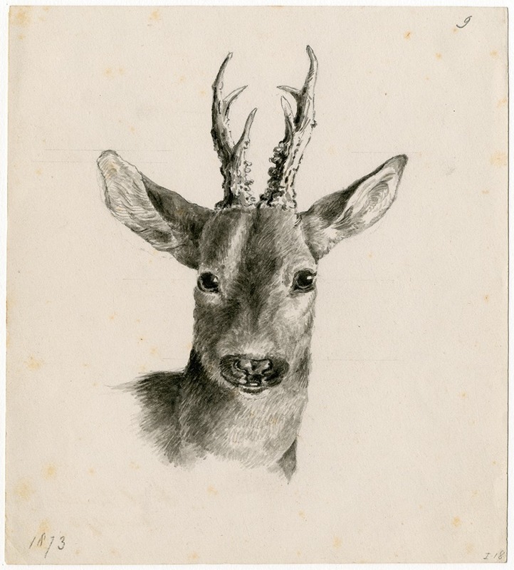 Head of a deer by Флорис Верстер, 1873 — digital art print download