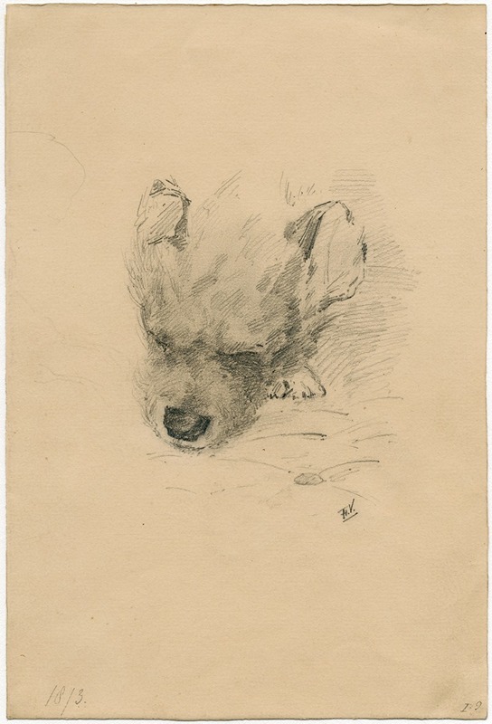 Head of a dog — Флорис Верстер