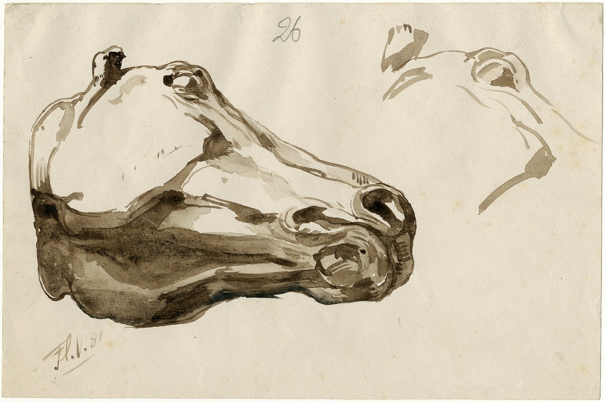 Head of a horse (from below) — Floris Verster
