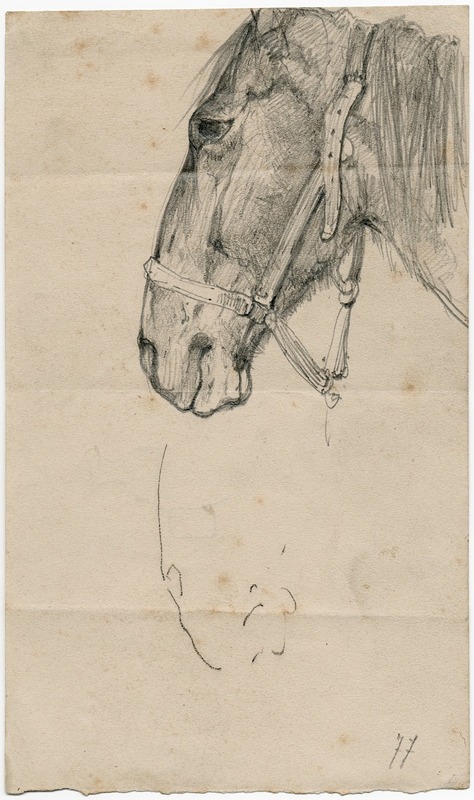 Horse's head by Флорис Верстер, 1877 — digital art print download