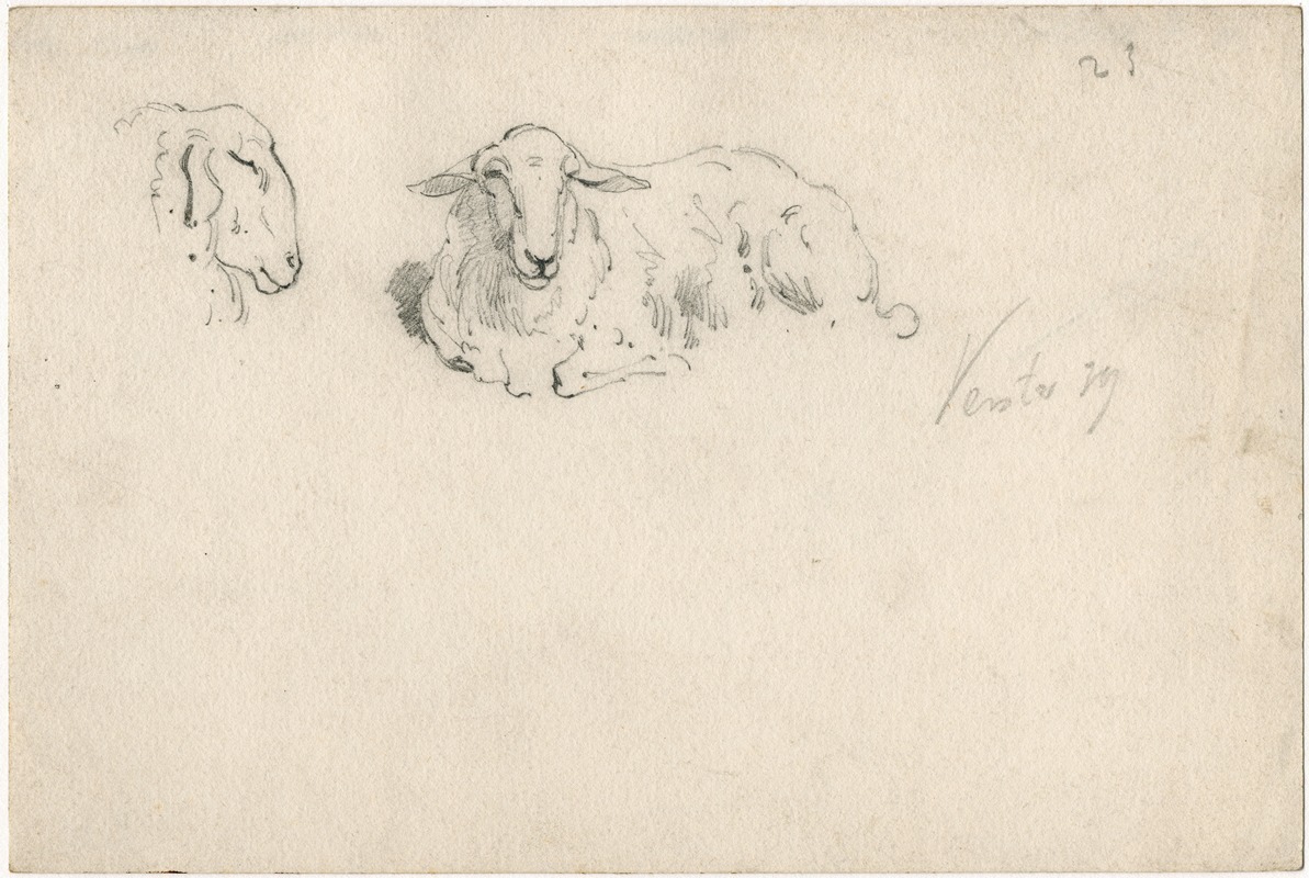 Liggend schaap, schapekop by Флорис Верстер, 1879 — digital art print download