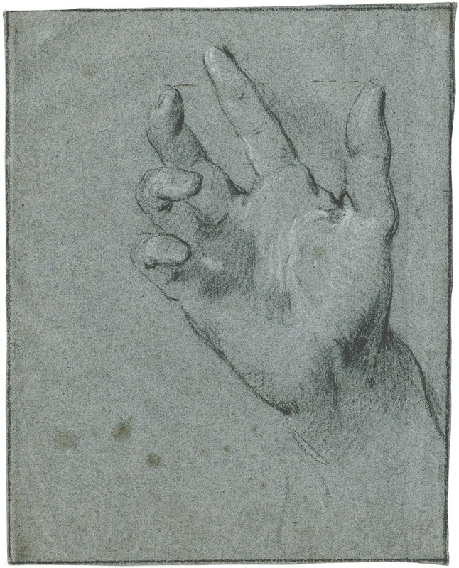 Study of a hand by Якоб де Вит — digital art print download