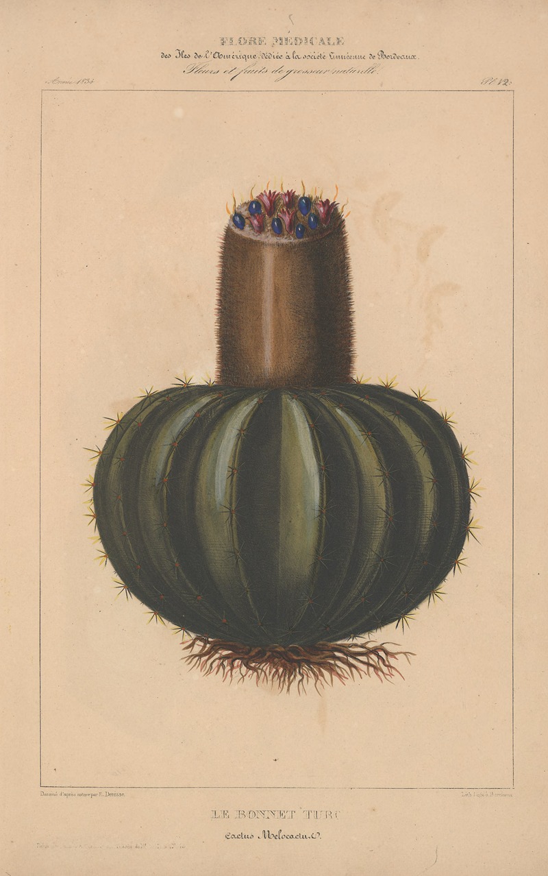 Flore d'Amérique Pl.12 by Etienne Denisse, 1835 — digital art print download