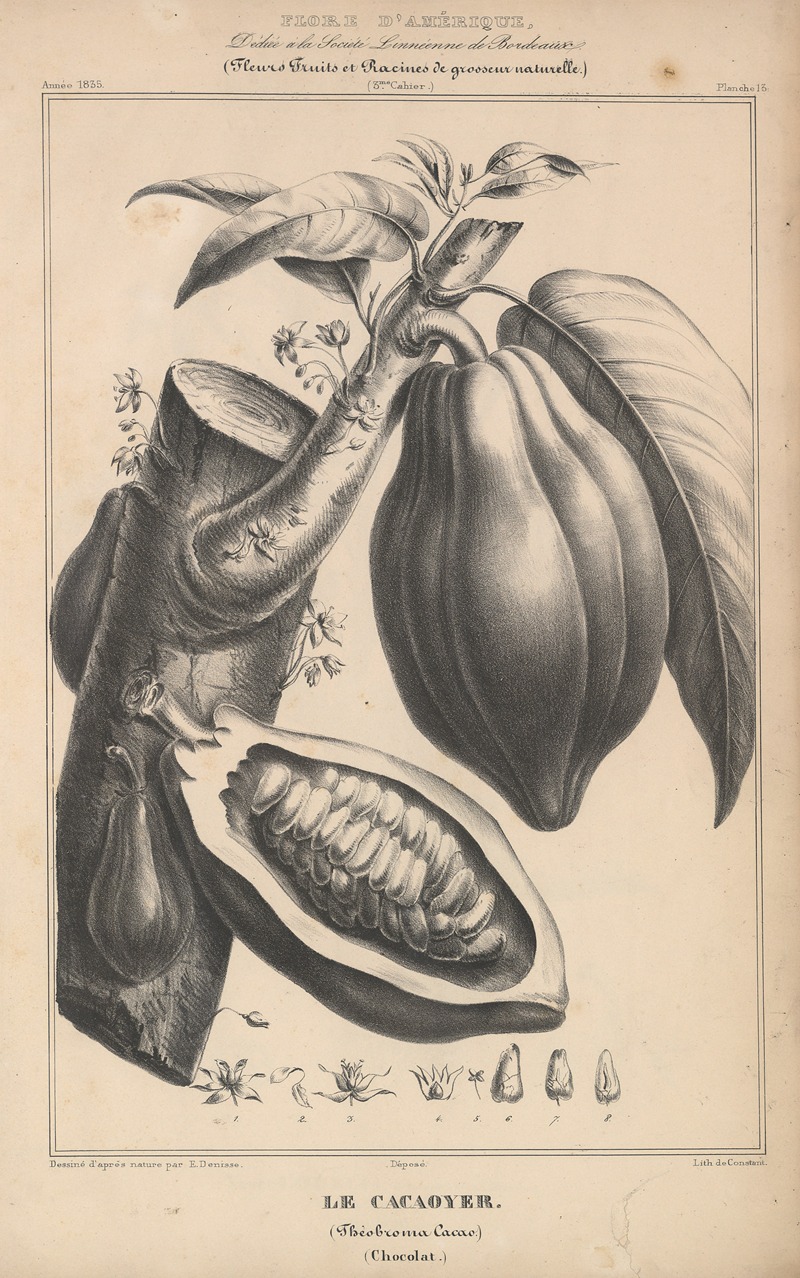 Flore d'Amérique Pl.37 by Etienne Denisse, 1835 — digital art print download