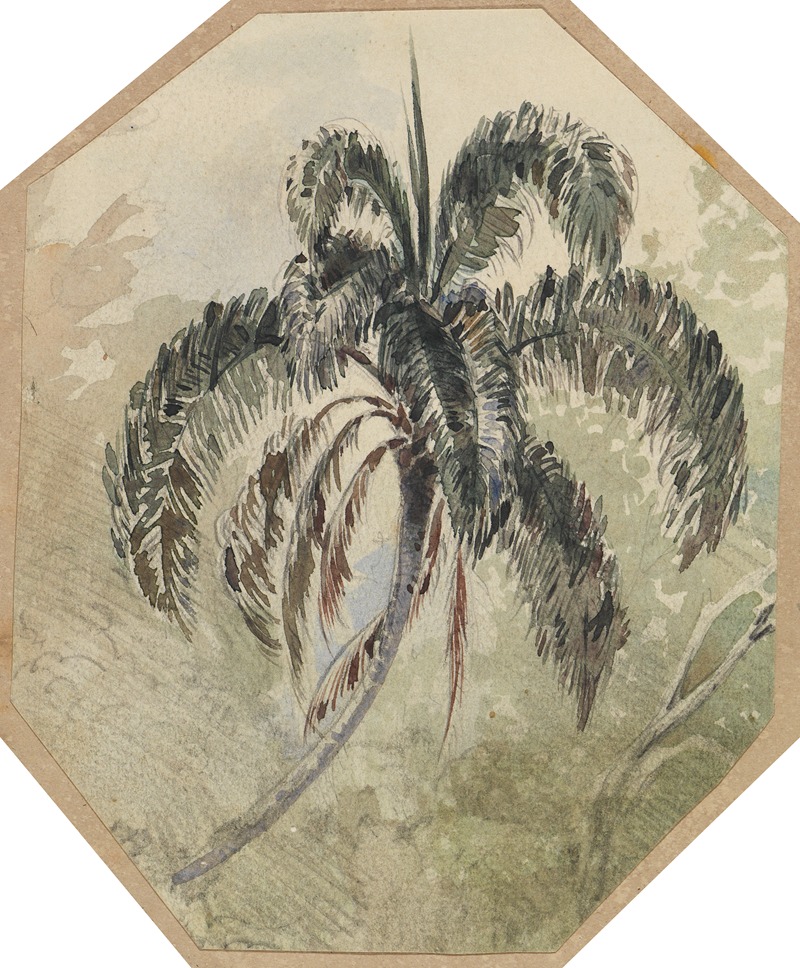 Studie einer Palme in Urwald by Ferdinand Keller, 1858 — digital art print download