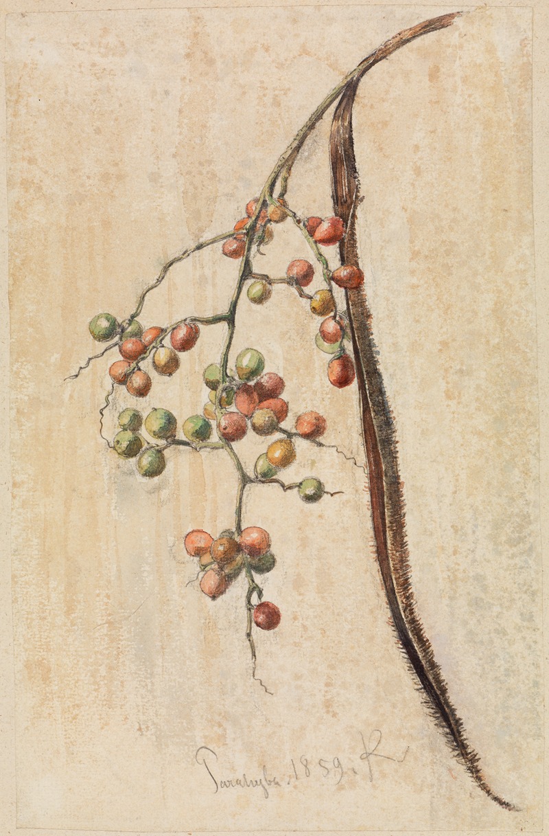 Studie eines Früchte tragenden Zweiges by Фердинанд Келлер, 1859 — digital art print download
