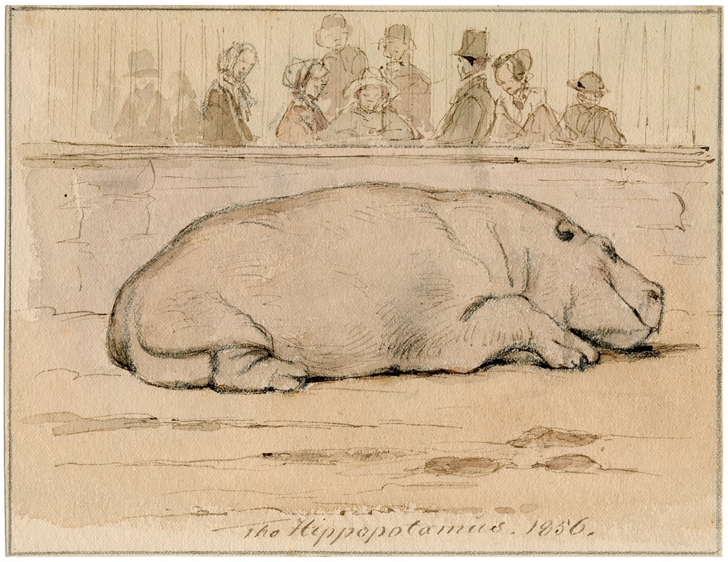 Het nijlpaard in de Engelse dierentuin by Питер ван Лун — digital art print download
