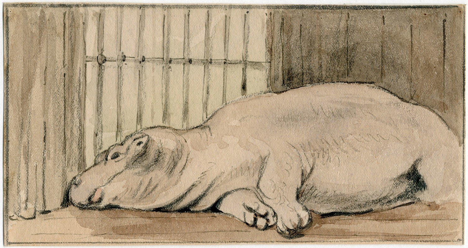 Het nijlpaard in de Engelse dierentuin — Pieter van Loon