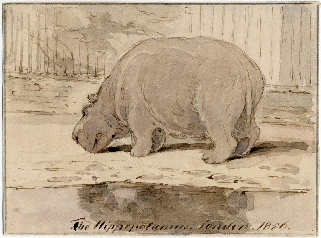 Het nijlpaard in de Engelse dierentuin — Питер ван Лун