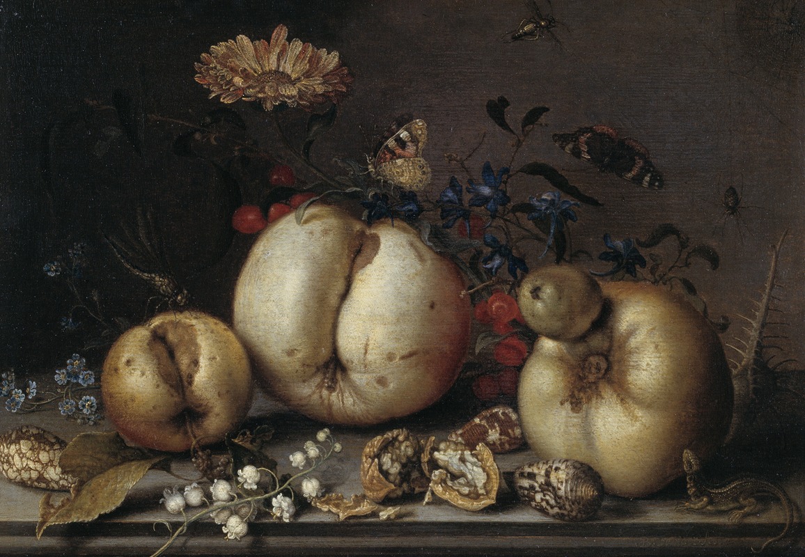 Still Life with Fruit and Shells by Balthasar van der Ast — digital art print download