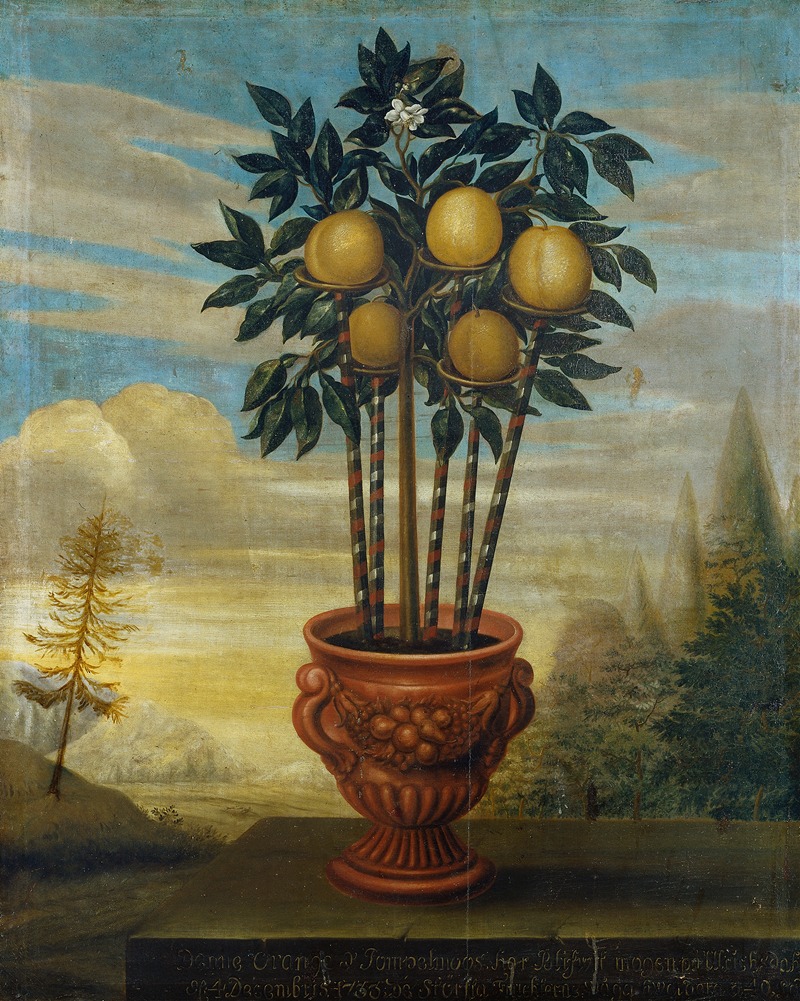 Orange tree in an urn by Дэвид фон Кёльн, 1733 — digital art print download
