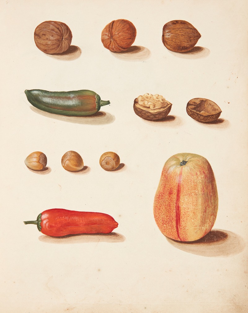 Studie af æble, nødder og peberfrugter by Johanna Fosie, 1749 — digital art print download