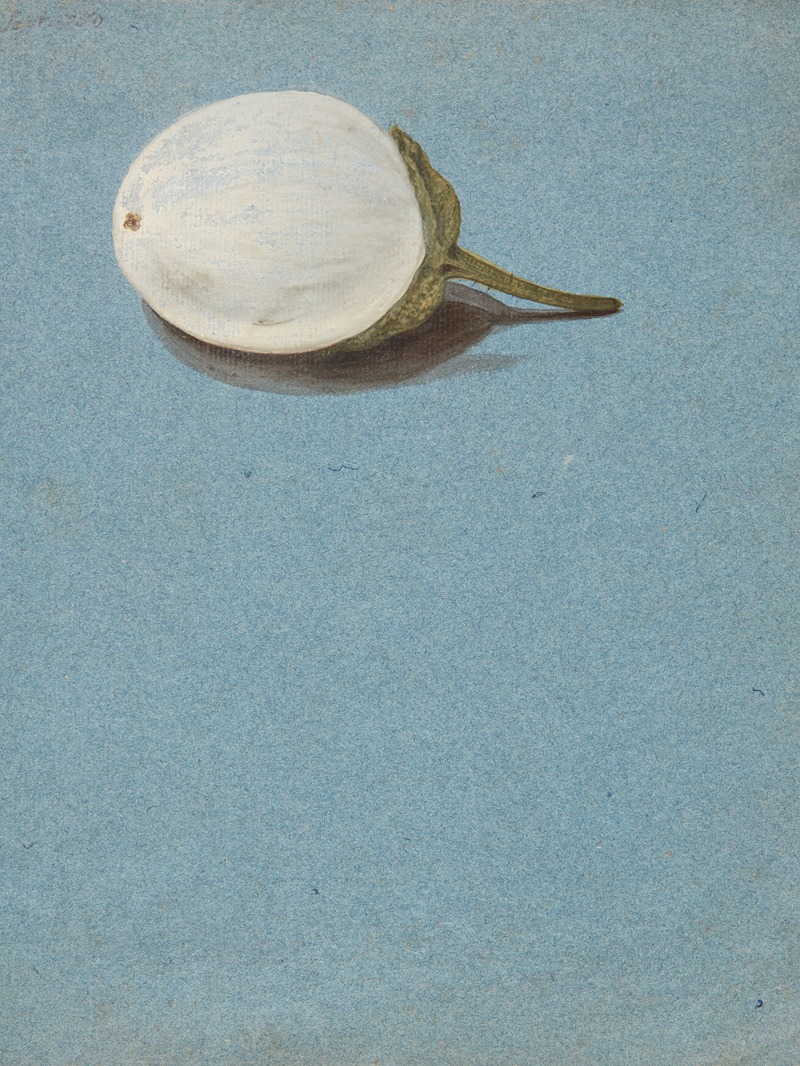Studie af bær by Johanna Fosie, 1750 — digital art print download