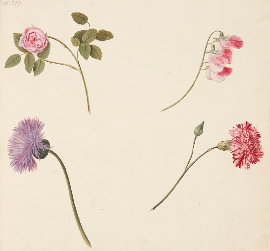 Studie af blomster by Johanna Fosie, 1749 — digital art print download