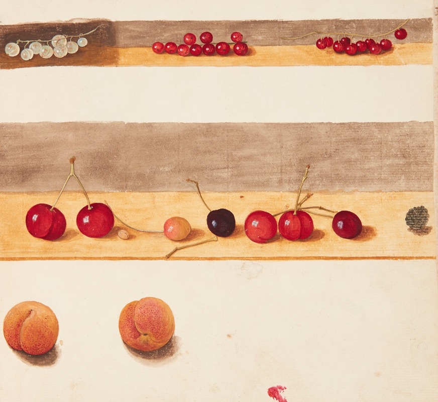 Studie af frugter og bær by Johanna Fosie, 1747 — digital art print download