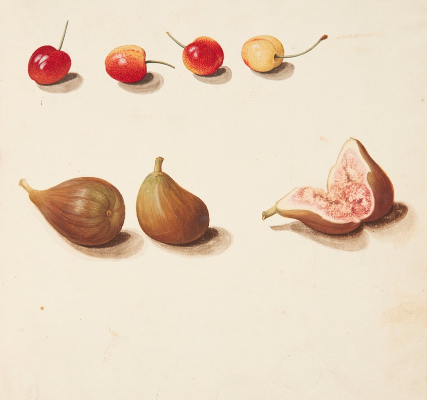 Studie af moreller og figner by Johanna Fosie, 1749 — digital art print download