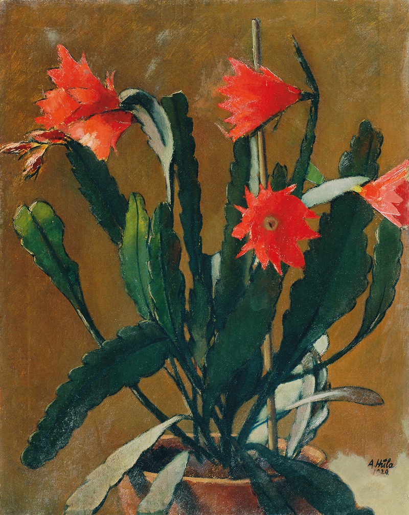 Stillleben Mit Blühendem Kaktus by Антон Хула, 1929 — digital art print download