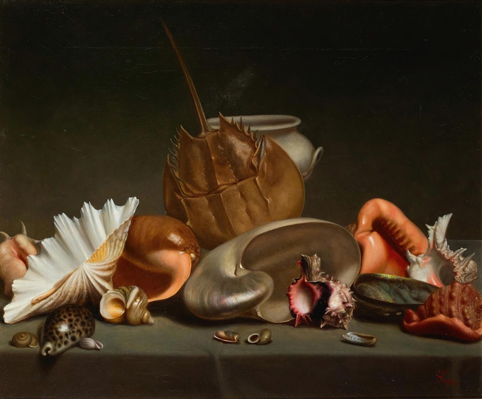 A Still Life With Sea Shells And Molluscs — French School