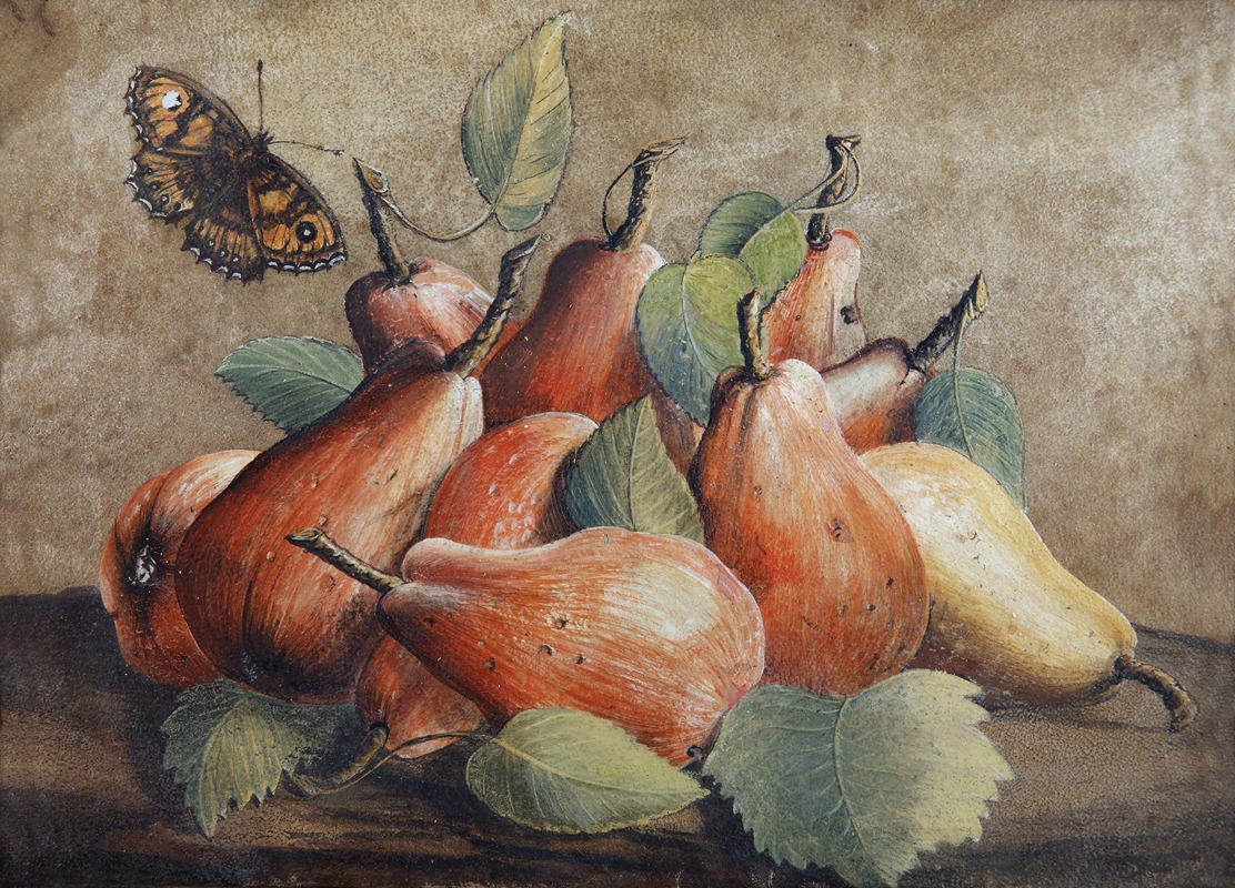 Stillleben Mit Birnen Und Einem Schmetterling — Giovanna Garzoni