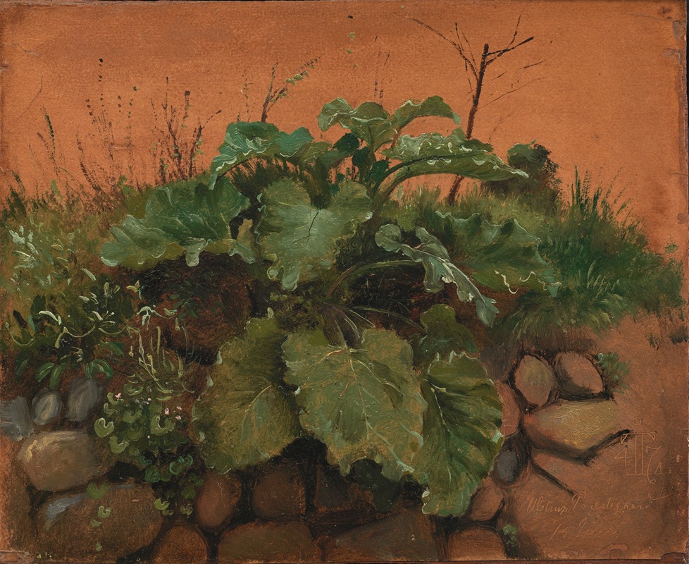 A Burdock And Other Plants On A Stone Wall — Йохан Томас Лундбю