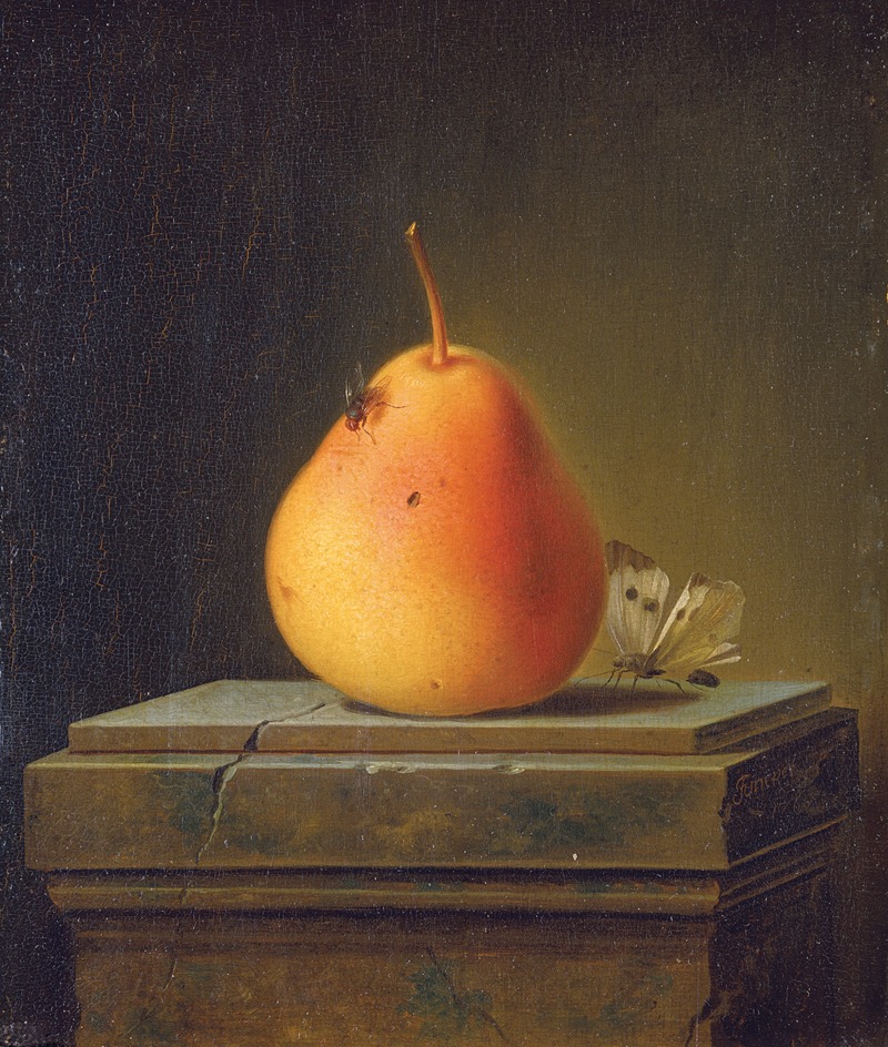 Still Life With Pear And Insects by Юстус Юнкер, 1765 — digital art print download