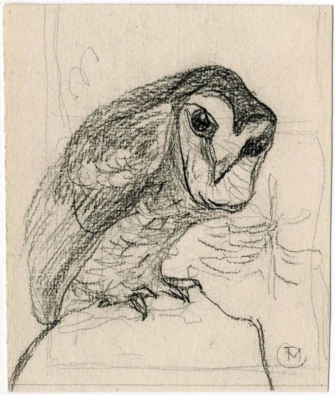 Een kleine uil by Тео ван Хойтема — digital art print download