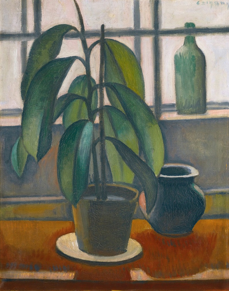 A Rubber Plant On A Window Ledge by Dezsö Czigány — digital art print download
