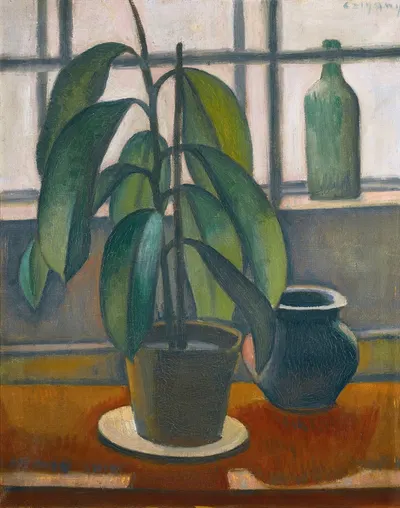 A Rubber Plant On A Window Ledge by Dezsö Czigány — digital art print download