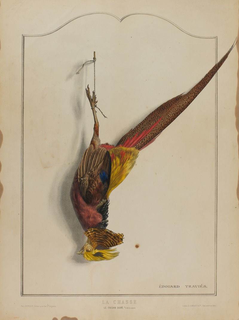 La Chasse; Le Faisan Dore by Édouard Traviès — digital art print download