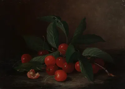 Still Life with Cherries by Paul Lacroix, 1865 — digital art print download