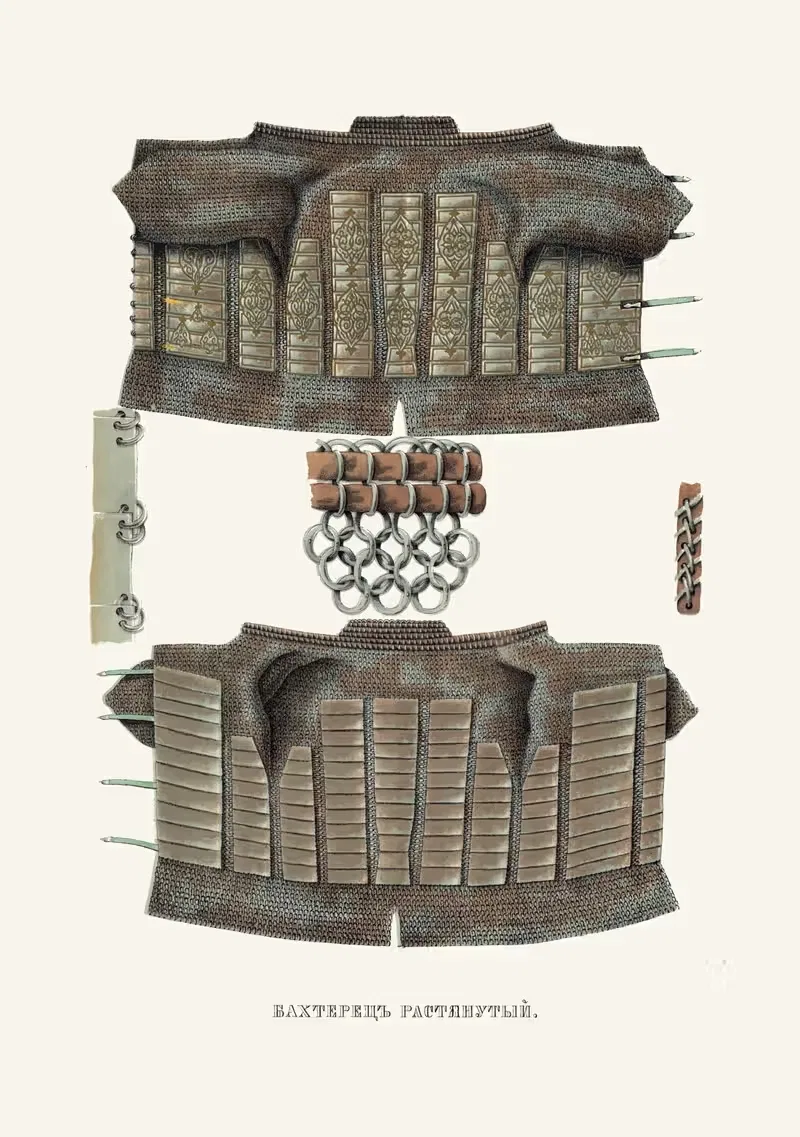 Бахтерец растиранный by Фёдор Григорьевич Солнцев, 1849 - 1853 — digital art print download