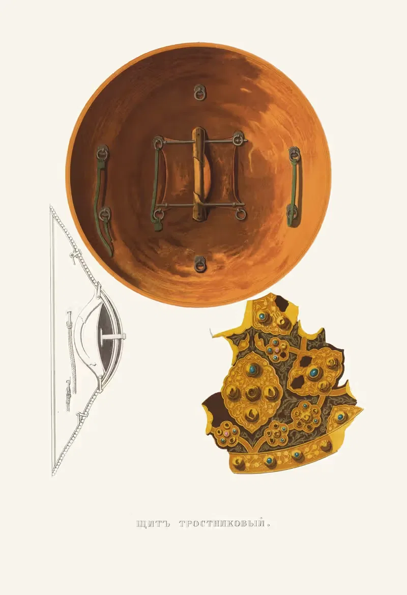 Shchit trostnikovyi. (izobrazhenie 2.) — Fedor Grigoryevich Solntsev